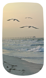 DAROYAL-126 Going Home (Seascape)